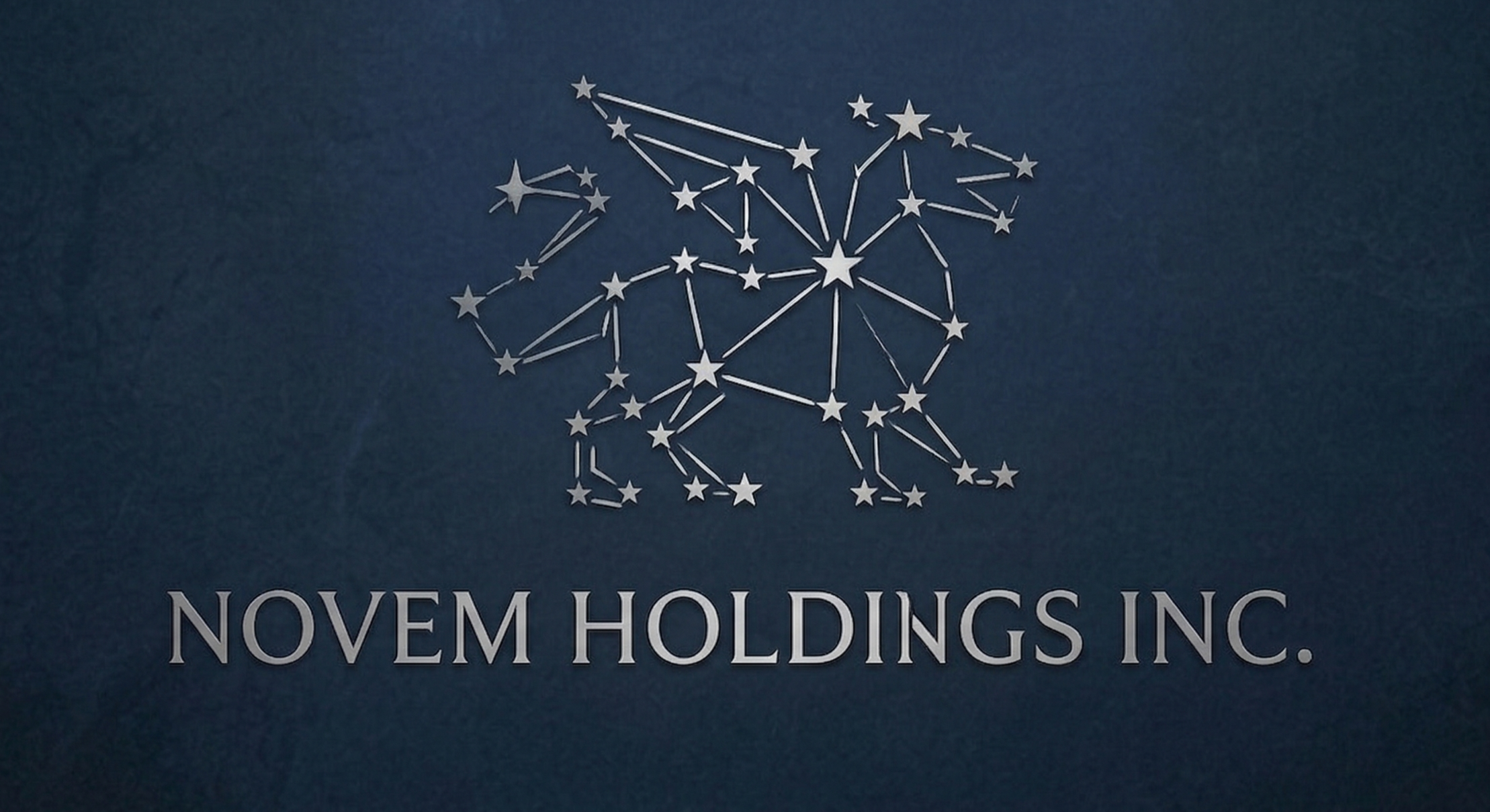 Novem Holdings